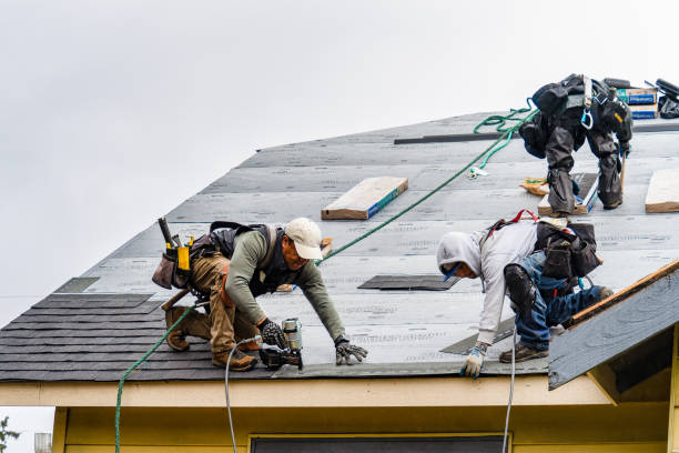Professional Gutter Installation technician working in Winton, NC